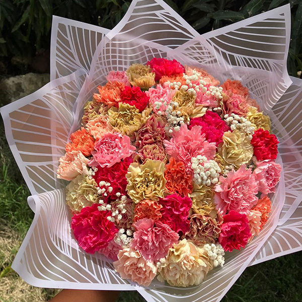 Vibrant Carnation Celebration Bouquet