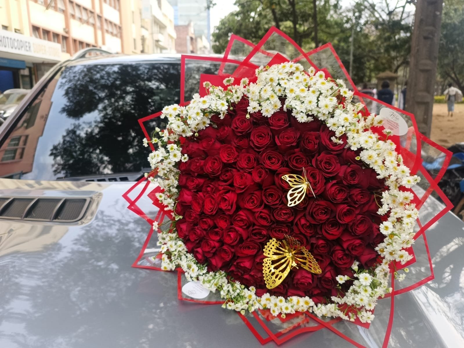 Grand Luxe Red Rose Dome