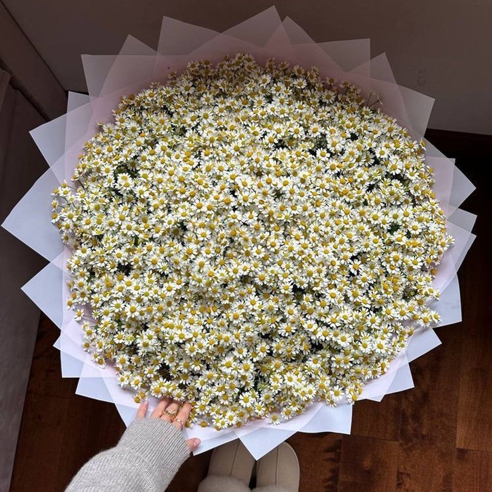 Daisy Dream Cloud Bouquet