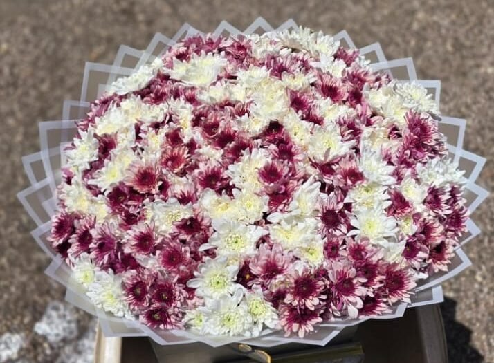 White Mums Mixed with Lolpop